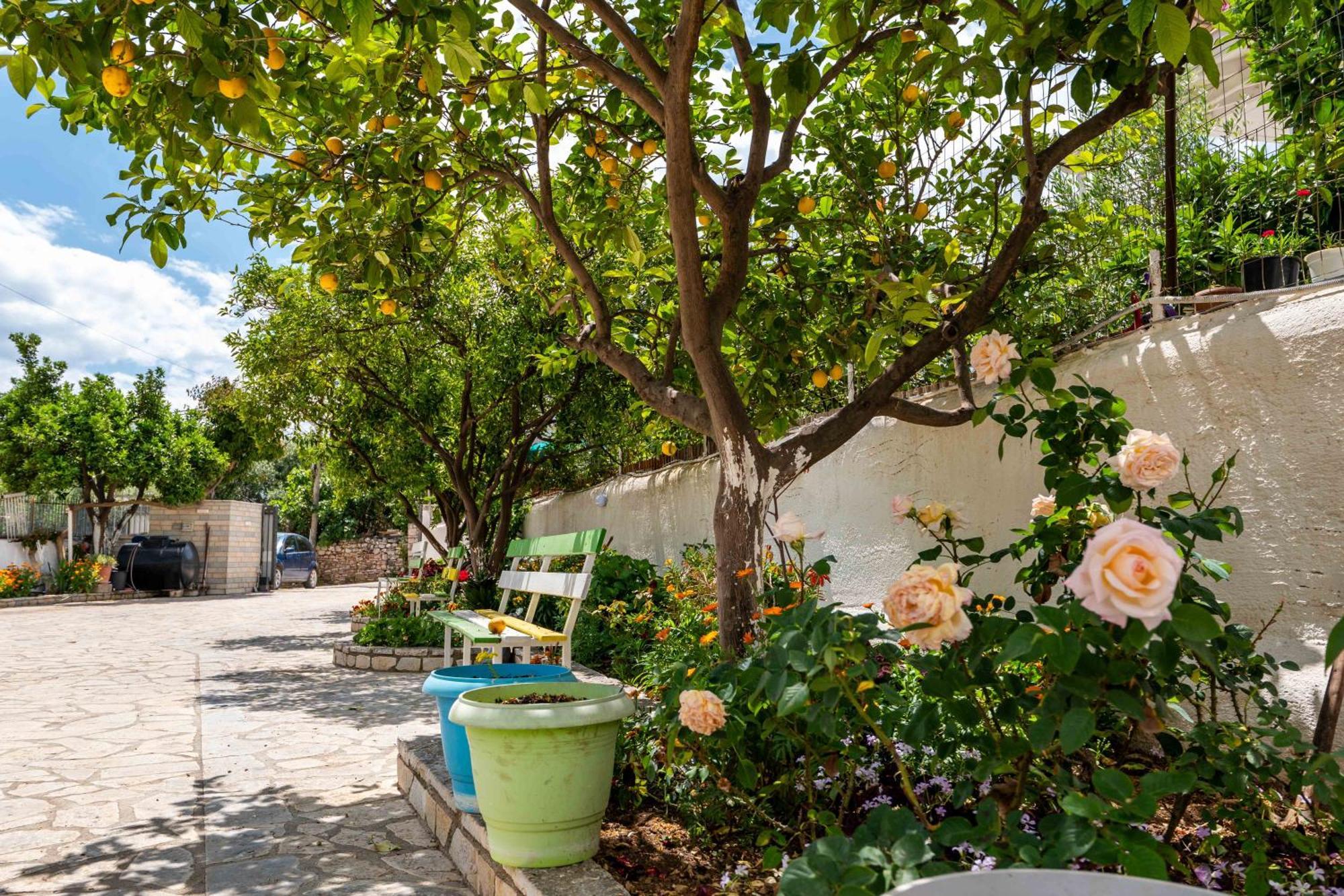 Hotel Artur2 Εξαμίλιο Εξωτερικό φωτογραφία